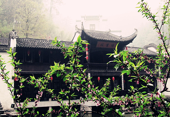 绩溪紫园第 13 张图片