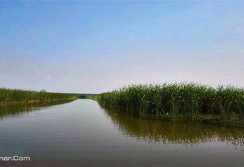 千鹤岛湿地公园第 1 张图片
