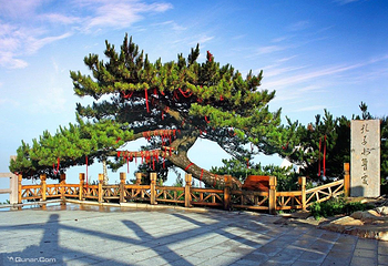 沂蒙山旅游区龟蒙景区第 4 张图片