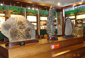 金石滩地质博物馆第 13 张图片