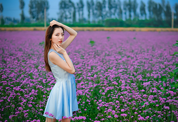 北京香草世界第 3 张图片
