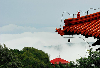 沂蒙山云蒙景区(蒙山国家森林公园)第 16 张图片