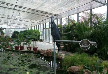 动物植物王国第 9 张图片