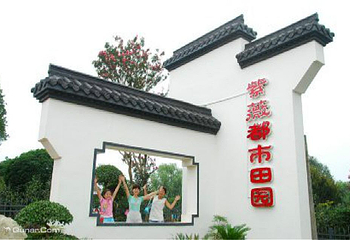 紫薇都市田园第 67 张图片