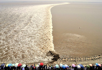 海宁直升机空中游览第 3 张图片