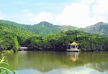 龙逸山庄CS野战第 7 张图片