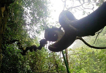 清江方山风景区第 24 张图片