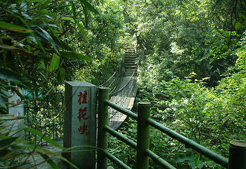 周洛大峡谷第 4 张图片