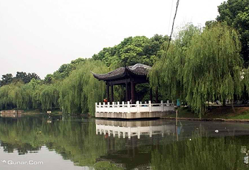 圩墩公园第 2 张图片