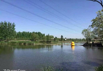 野草河湿地风景区第 4 张图片