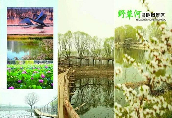 野草河湿地风景区第 1 张图片