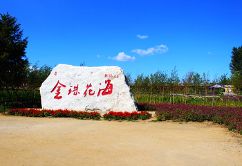 北纬44度金珠花海景区第 33 张图片