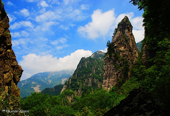 朱雀国家森林公园第 31 张图片
