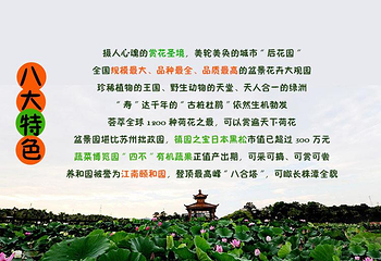 盘龙大观园第 15 张图片