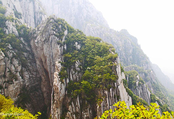 嵩山风景名胜区第 107 张图片
