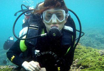 “海洋日记”潜水嘉年华第 6 张图片