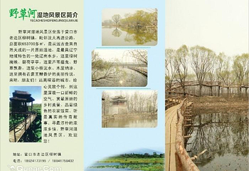 野草河湿地风景区第 3 张图片