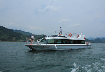 千岛湖钓鱼岛第 9 张图片