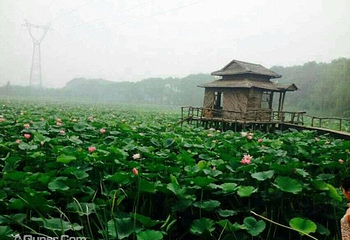野草河湿地风景区第 6 张图片