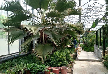 动物植物王国第 4 张图片