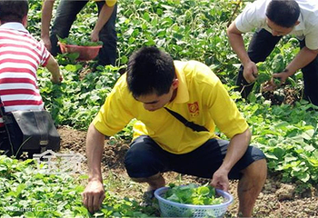 蟹岛温泉第 11 张图片