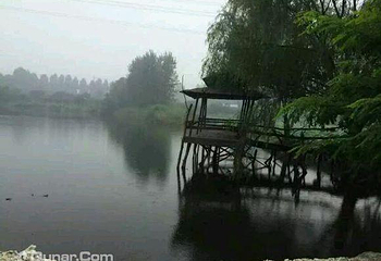 野草河湿地风景区第 5 张图片