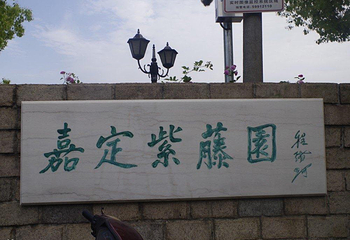 紫藤园第 3 张图片
