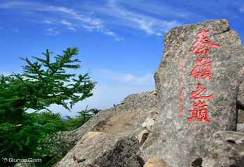 朱雀国家森林公园第 26 张图片