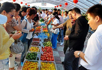 亚布力虎峰岭生态采摘园第 2 张图片