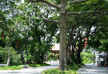 聚龙村第 7 张图片