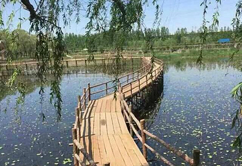 野草河湿地风景区第 2 张图片