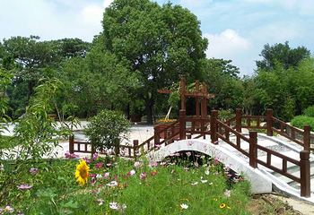 桃花涧第 12 张图片