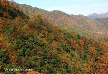 黄羊山国家森林公园第 3 张图片