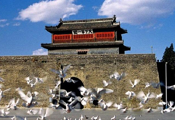 天下第一关第 20 张图片