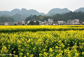周洛大峡谷第 7 张图片