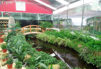 凤凰沟第 20 张图片