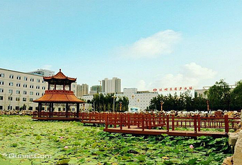 以岭健康城第 8 张图片