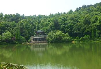 岳麓山第 115 张图片
