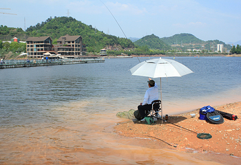 千岛湖钓鱼岛第 20 张图片