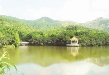 龙逸山庄CS野战第 8 张图片