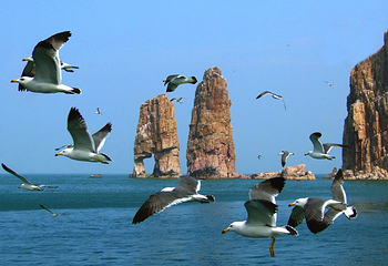 长岛海上游第 4 张图片