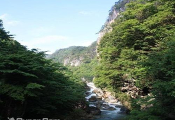 红坪画廊第 3 张图片