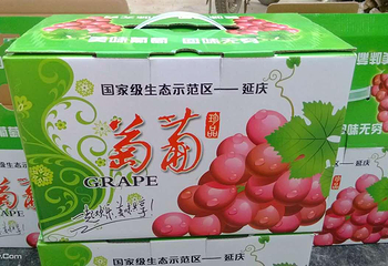 世外萄园第 3 张图片