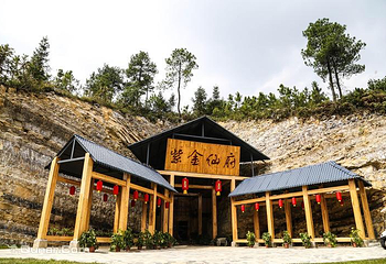 紫林山国际旅游度假区第 14 张图片