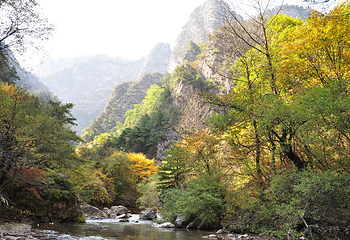贵清山旅游风景区第 5 张图片