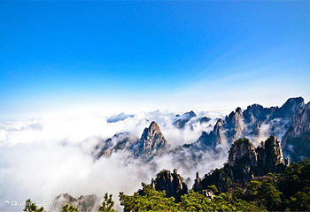黄山醉温泉第 75 张图片