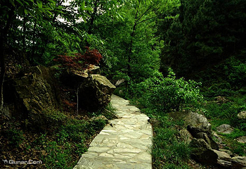 九真山风景区第 102 张图片