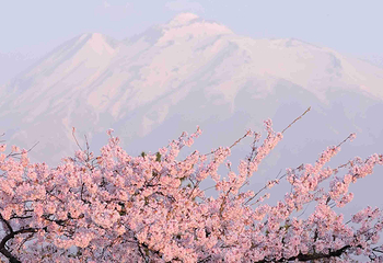 富士山第 136 张图片