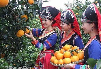 黄沙畲族风情橙园第 1 张图片