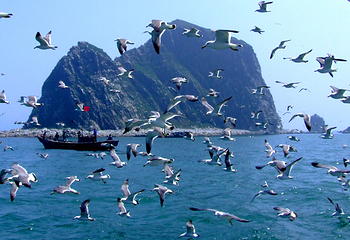 长岛海上游第 36 张图片